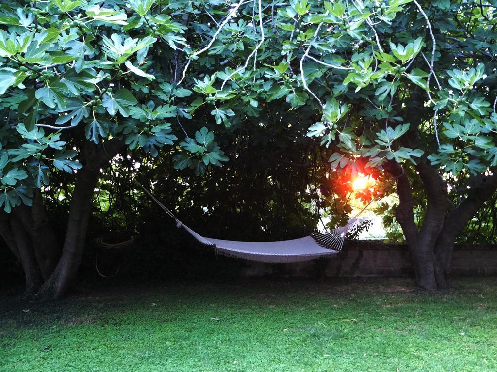 Agriturismo Locanda Pantanello ピティリアーノ エクステリア 写真