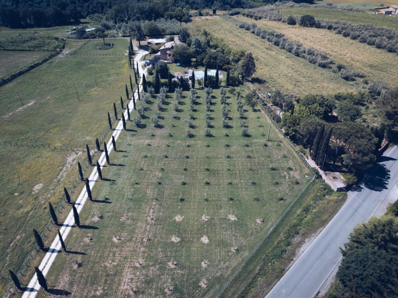 Agriturismo Locanda Pantanello ピティリアーノ エクステリア 写真